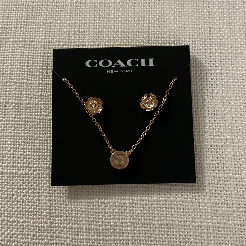 Coach earrings and necklace